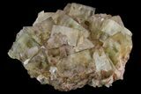Light-Green, Cubic Fluorite Crystal Cluster - Morocco #138247-1